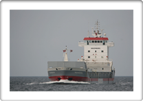 MAINEBORG            9228980